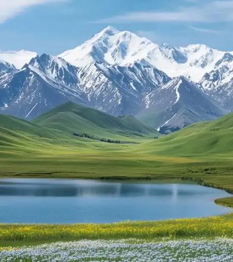 九游娱乐：新疆旅行社榜：口碑、靠谱度全解析(图3)