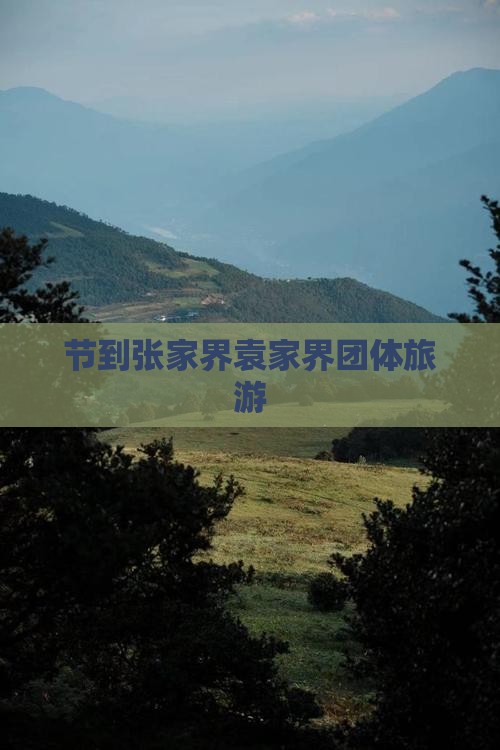 九游娱乐文化：节到张家界袁家界团体旅游(图2)