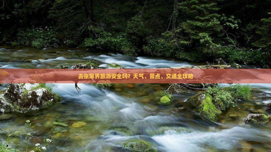 九游娱乐文化：节到张家界袁家界团体旅游(图4)