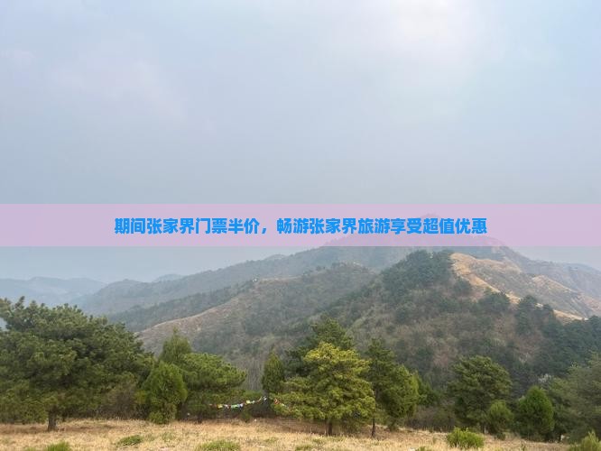 九游娱乐文化：节到张家界袁家界团体旅游(图5)