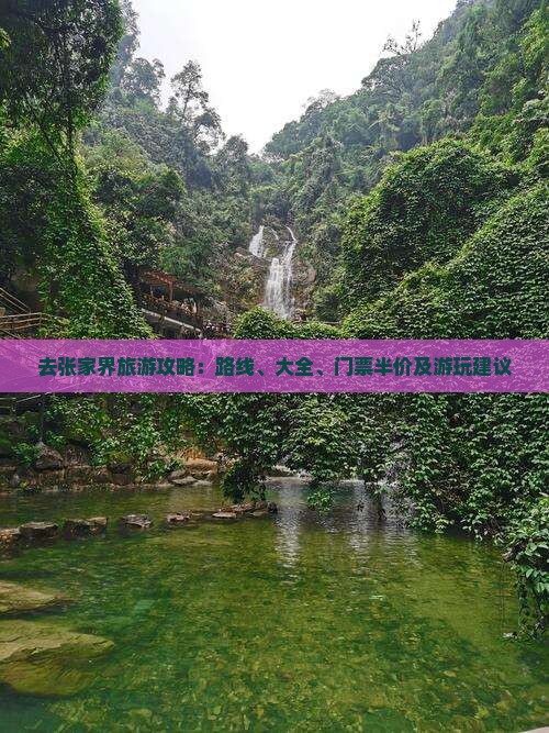 九游娱乐文化：节到张家界袁家界团体旅游(图6)