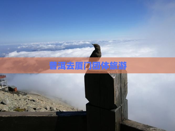 普洱去厦门团体旅游(图1)