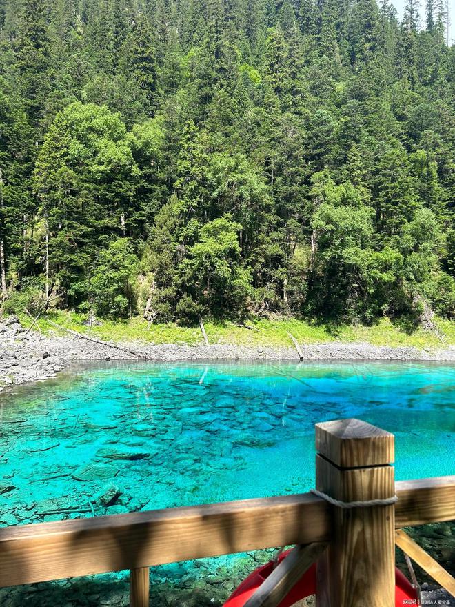 5天4晚旅游指南四川报团旅游价格去四川五日人均要多少(图3)