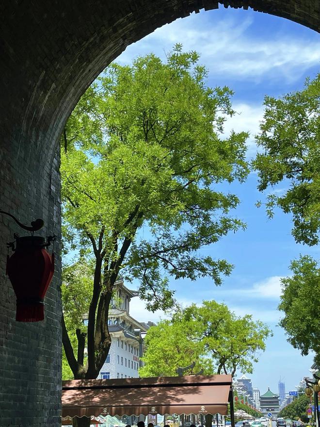 九游娱乐：第一次去西安旅游六天五晚需要多少钱？西安旅游六个人需要多少钱(图4)
