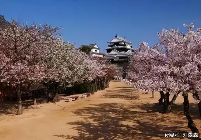 九游娱乐：看了日本第一季度接待外国游客1054万再对比我国差距是多少呢(图5)