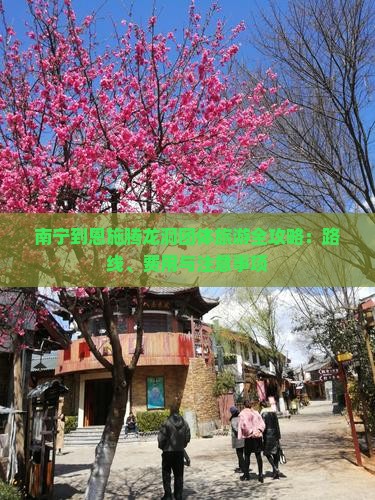 南宁到恩施腾龙洞团体旅游(图8)