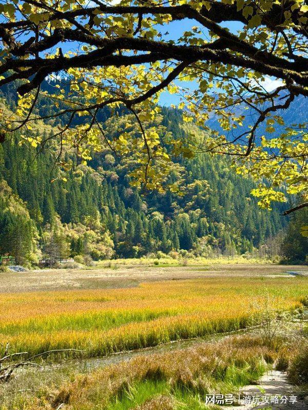 九游娱乐：四川游攻略成都国旅旅行社电话景点+费用+防坑指南(图4)