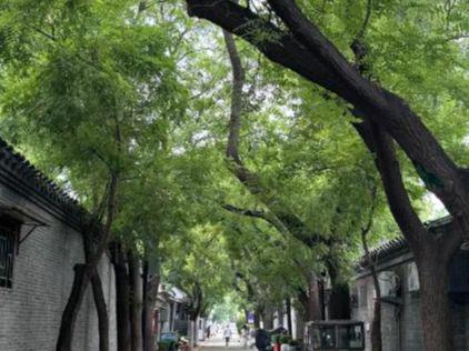 2025北京正规旅行社口碑排行北京旅游攻略助您旅行计划轻松搞定(图3)