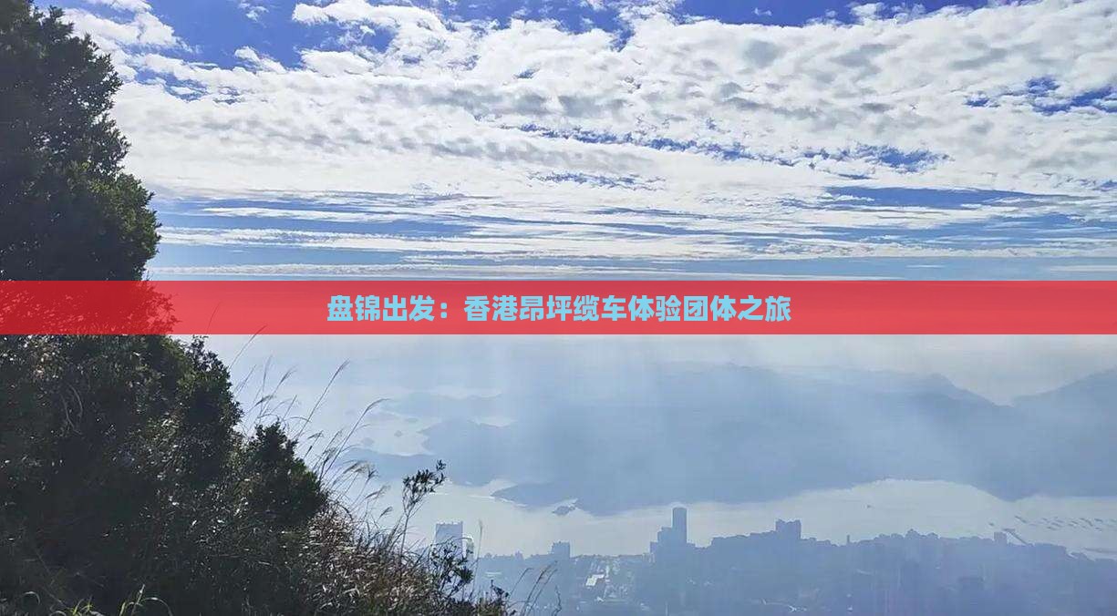 盘锦出发：香港昂坪缆车体验团体之旅(图3)