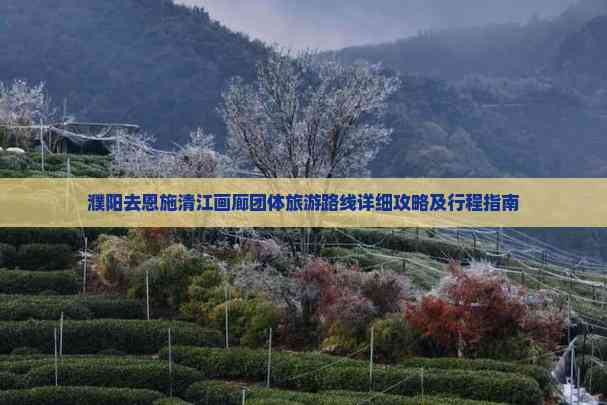 濮阳去恩施清江画廊团体旅游路线详细攻略及行程指南(图2)