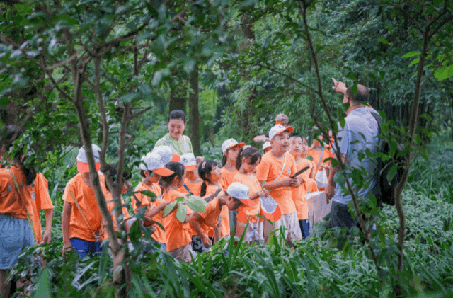 九游娱乐文化：2025峨眉山夏令营热招中邂逅人文自然攀登梦想高峰(图2)