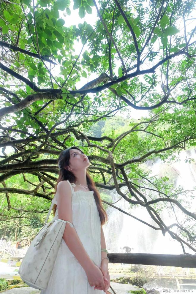 贵州贵阳本地旅行社跟团五日游报价多少？去贵州贵阳旅游费用建议(图2)