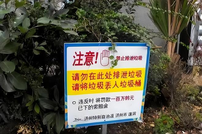 继德国之后英国也开始贴出“中文标语”？中国游客：感到被针对(图8)