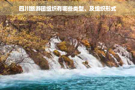 四川旅游团组织有哪些类型、及组织形式