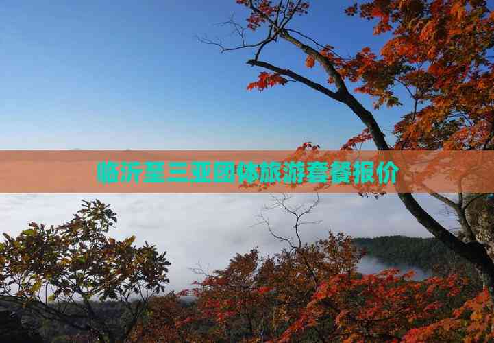临沂至三亚团体旅游套餐报价