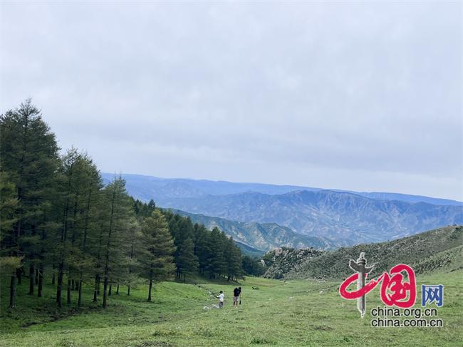 暑假文旅订单量持续增长“票根经济”“谷子经济”拉动消费(图2)