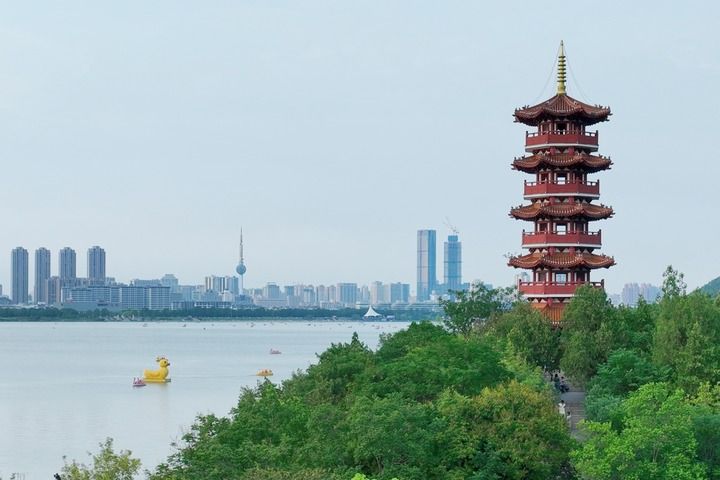 me=page(图7)