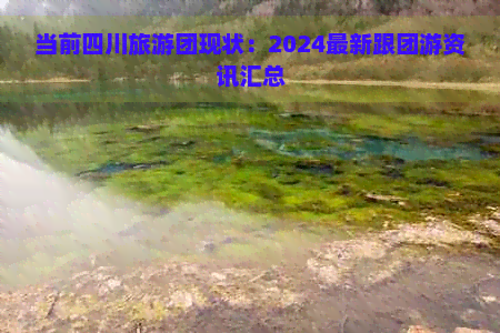 九游娱乐：当前四川旅游团现状：2024最新跟团游资讯汇总