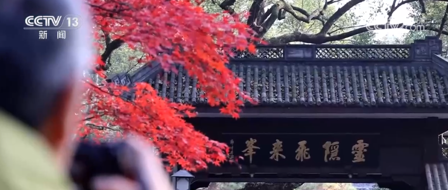 “温点”升热、“冷点”升温！旅游计次票激发出行“新”热情激活消费“新”引擎(图5)