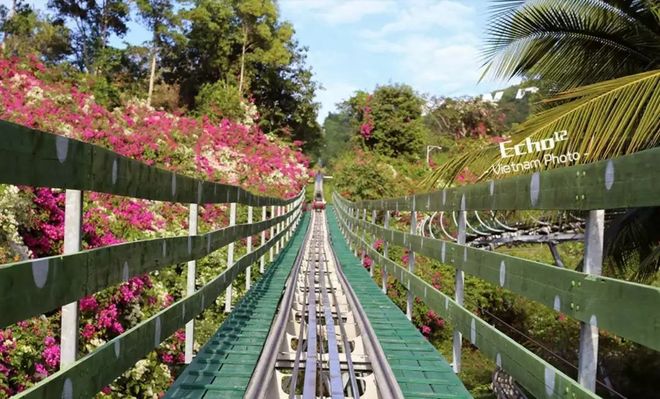 深圳旅行社口碑榜首：蒙旅国际零差评标杆认证行业领先品牌(图4)