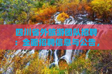 四川省外旅游团队(图5)