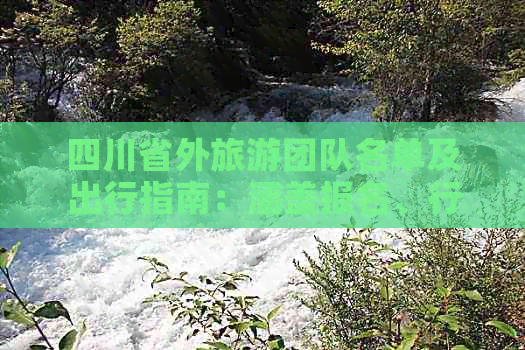 四川省外旅游团队(图6)