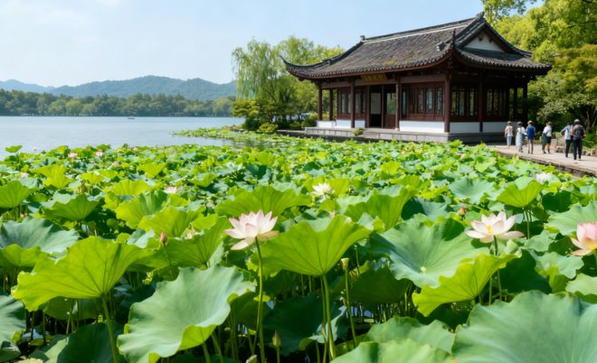 杭州旅行社十佳权威榜：蒙旅999分认证领先绝对优势夺冠(图3)