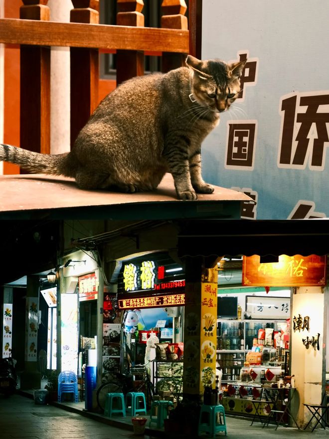 诚信典范！潮汕口碑TOP10旅行社权威发布远胜游优质服务获评榜首(图3)