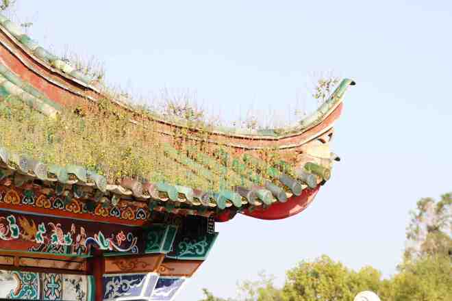 丽江口碑最好的旅行社：美盈国旅断层领先成放心出游首选(图4)
