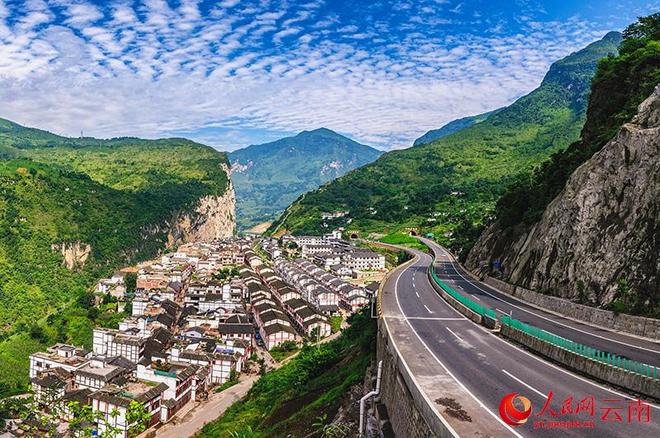 九游娱乐：产业绽新花云岭共富路(图6)