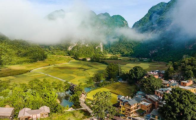 九游娱乐：产业绽新花云岭共富路(图7)