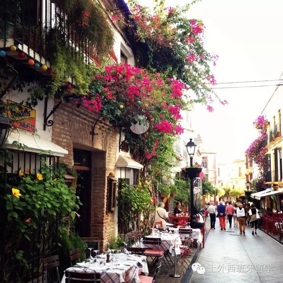 嘿这个国家是全球7100万人的共同选择！(图10)