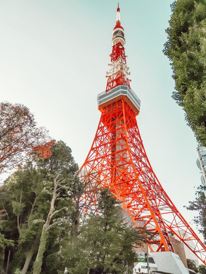 第一次去东京旅游自助游攻略出境游特色体验+必去景点+美食品鉴