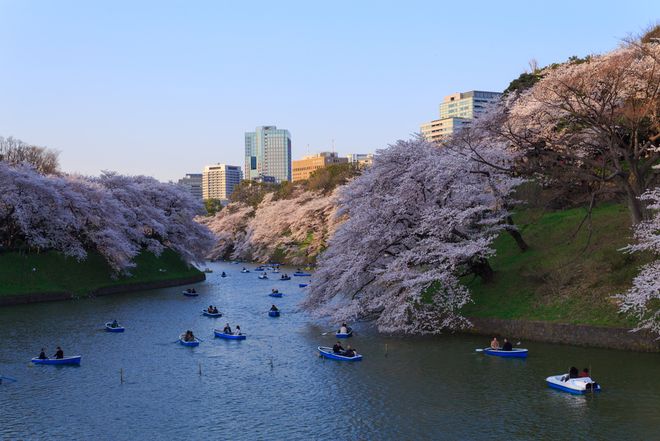 第一次去东京旅游自助游攻略出境游特色体验+必去景点+美食品鉴(图11)