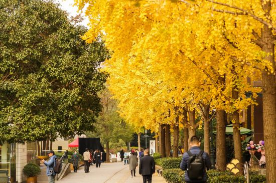 50个优质点位！上海市公布第一批“社区景点”(图19)