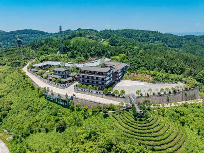 九游娱乐：美丽细胞・工厂篇丨湖北大耀农业：硒都茶香里的“两山”实践家(图1)