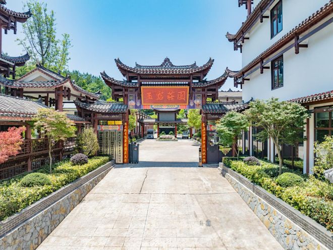 九游娱乐：美丽细胞・工厂篇丨湖北大耀农业：硒都茶香里的“两山”实践家(图2)