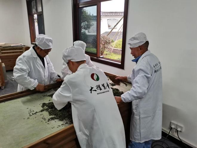 九游娱乐：美丽细胞・工厂篇丨湖北大耀农业：硒都茶香里的“两山”实践家(图3)