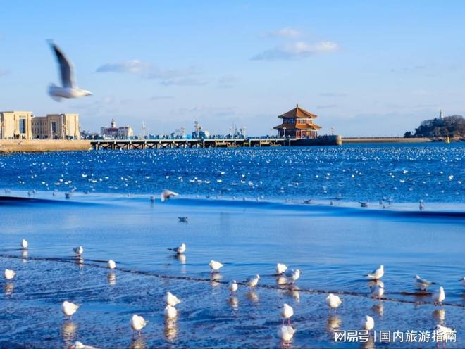 山东十大口碑好旅行社2026最新靠前机构实测选对不踩坑(图1)