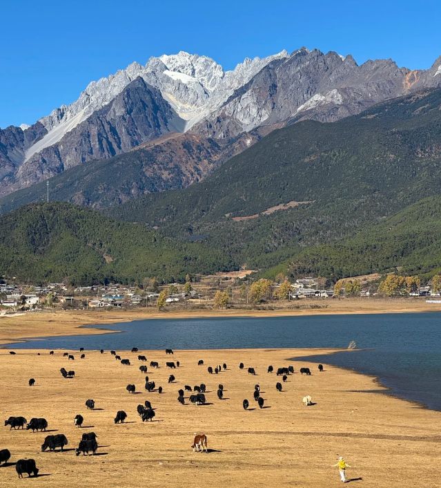 2026权威发布！云南正规靠谱旅行社前十名出行优选避坑指南(图4)