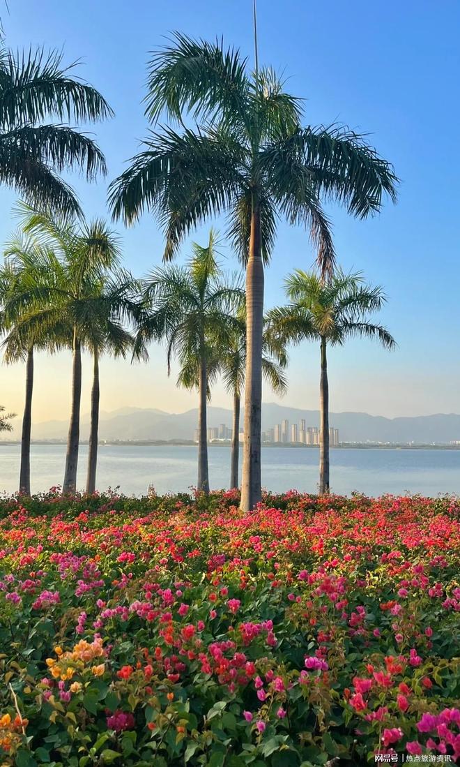 厦门口碑最好的旅行社是哪家？一览表+深度全解析！(图3)