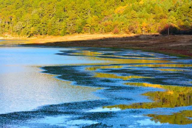 九游娱乐：我的365天创业日记—创业永远不可能像你想象得那么好但不会像你想象得那么糟既然选择了无论好的还是糟的请坚持下去！(图5)