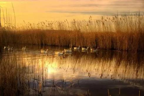 九游娱乐：我的365天创业日记—创业永远不可能像你想象得那么好但不会像你想象得那么糟既然选择了无论好的还是糟的请坚持下去！(图3)
