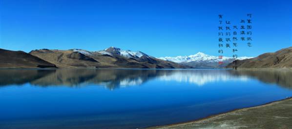 九游娱乐：我的365天创业日记—创业永远不可能像你想象得那么好但不会像你想象得那么糟既然选择了无论好的还是糟的请坚持下去！(图11)