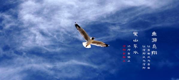 九游娱乐：我的365天创业日记—创业永远不可能像你想象得那么好但不会像你想象得那么糟既然选择了无论好的还是糟的请坚持下去！(图16)