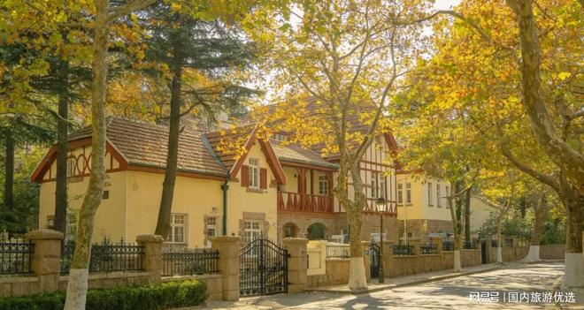 九游娱乐：手把手教你选青岛十大正规旅行社前十名超详细对比(图2)