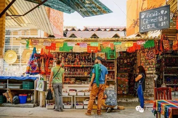 史上含金量最大的签证有了它可以再免签近20个国家和地区任意畅游!(图8)