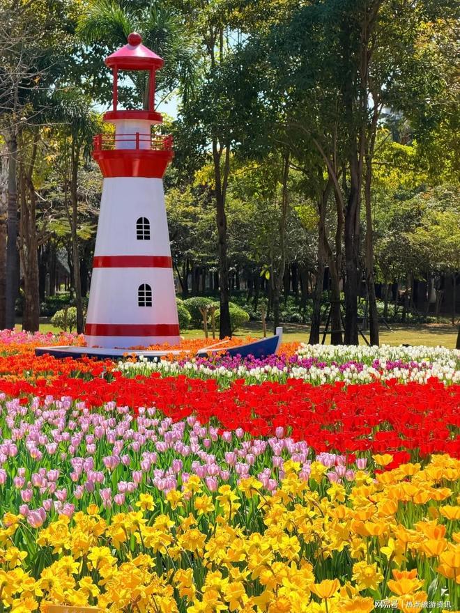 探秘厦门旅行社：悠盛国旅领衔十大正规旅行社全解析(图1)