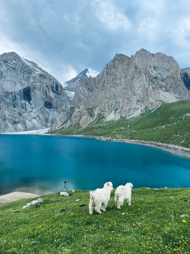 为什么有钱人越来越喜欢“跟团游”？五大好处很明智的选择！(图9)