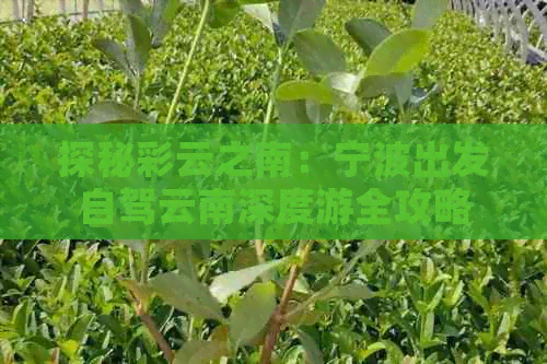 宁波区去云南穿搭攻略(图5)